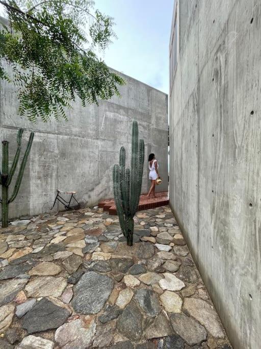 Casa Del Sapo Villa Yolina Exterior photo